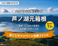 【トモタクMINI】トモタクCF131号（芦ノ湖元箱根）
